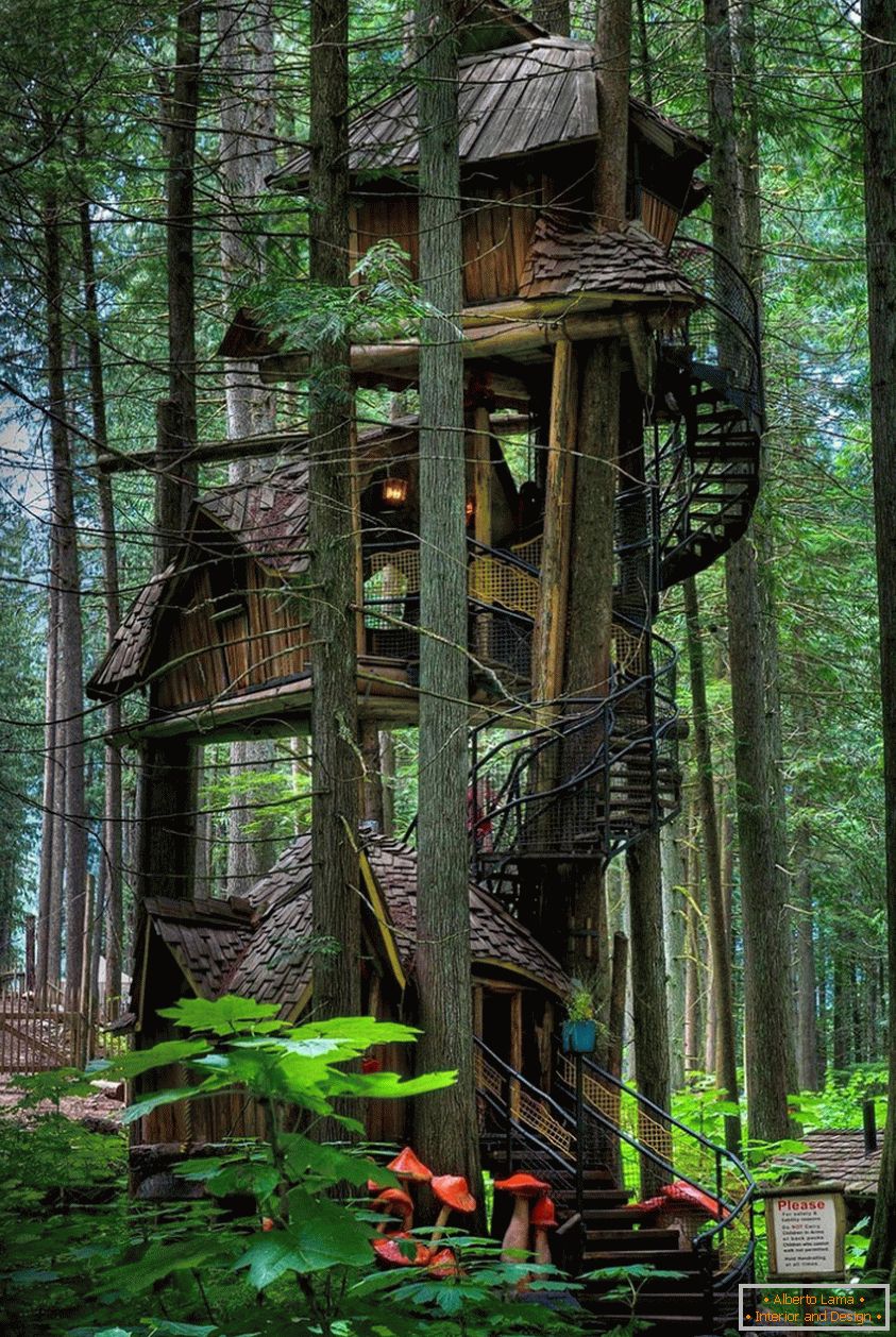 Tri Story Treehouse (Britanska Kolumbija, Kanada)