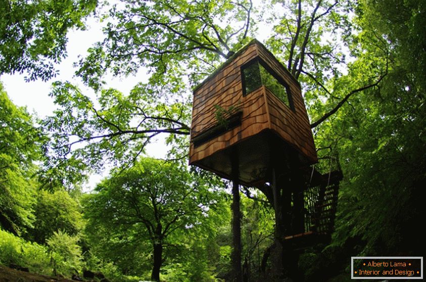 Treehouse od strane Takashi Kobayashi (Japan)