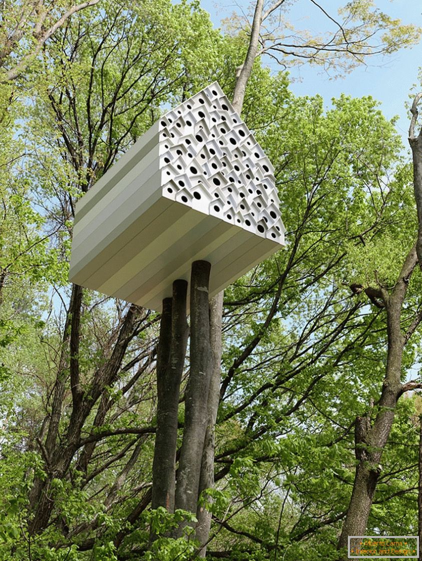 Treehouse za ptice i ljude (Japan)