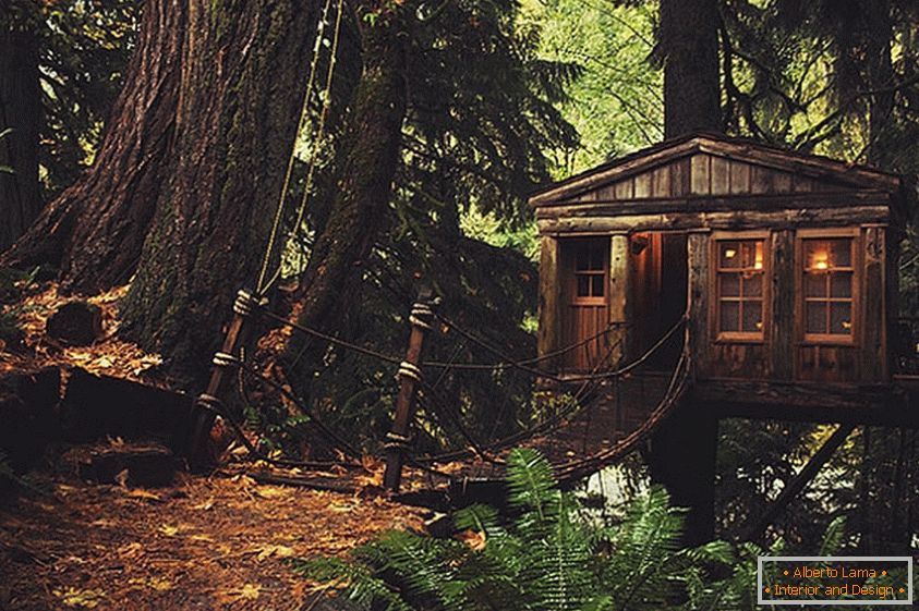 Treehouse u Seattleu (Seattle, SAD)