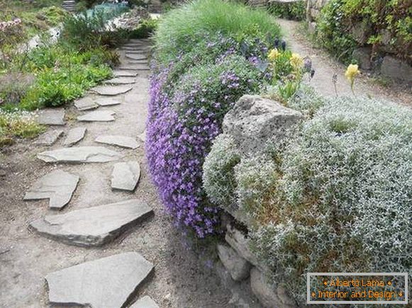 Vrtna terasa - Alpinski klizač s rukama na fotografiji