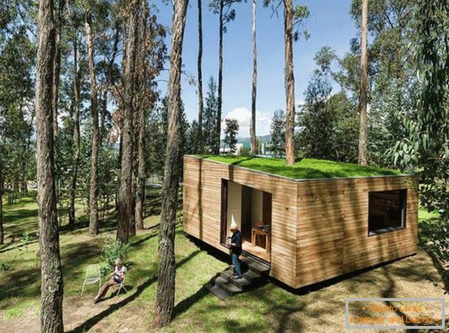 Mala kuća u šumi s mahovim krovom