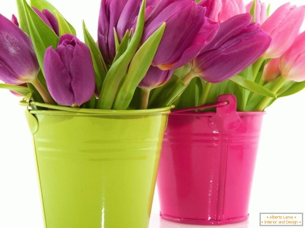 Tulipani u posudama u boji