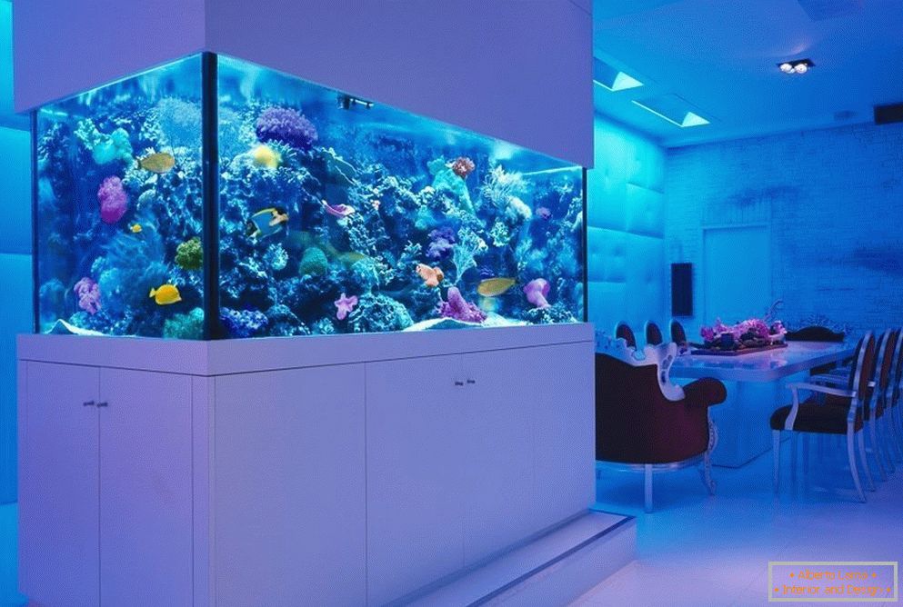 Morski akvarij korištenjem živih koralja 