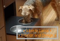 Dizajn za kućne ljubimce: izradite mjesto za jelo psa