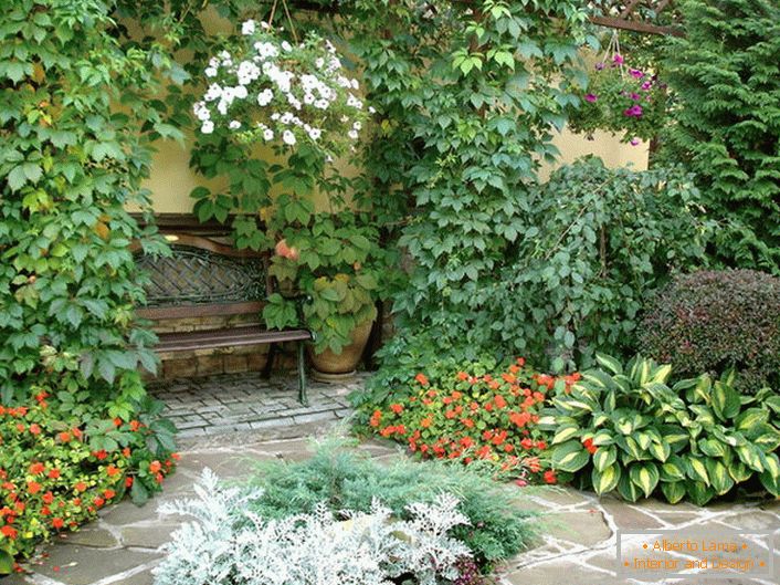 Raznolikost biljnog svijeta u dvorištu ukazuje na prisutnost mediteranskog stila. Cvjetnice, kovrčavi divlji grožđe čine romantičnu atmosferu.