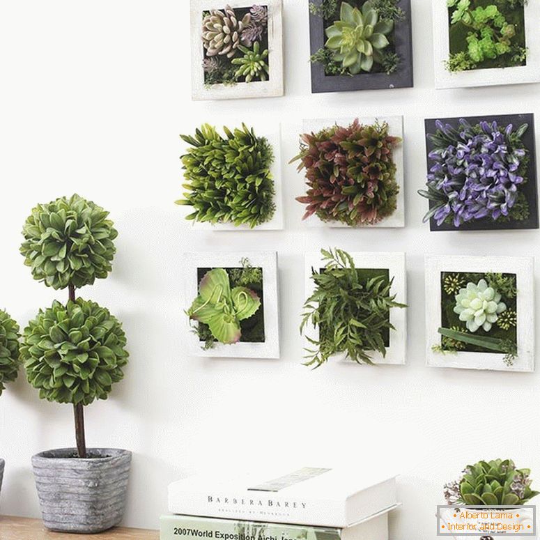 Slike sa succulents