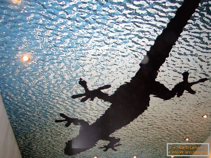 Prošireni stropovi s fotografijama imitiraju površinu vode. Jednoslojni stropovi opremljeni su točkastom LED rasvjetom.