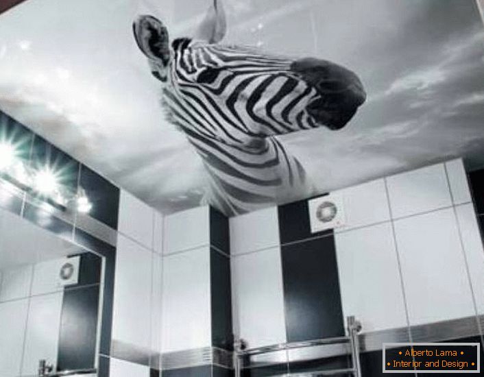 Neobična rješenja za ukrašavanje crne i bijele kupaonice je slika zebre na stropovima s ispisom fotografija.