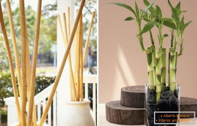 Bambus kao ukras