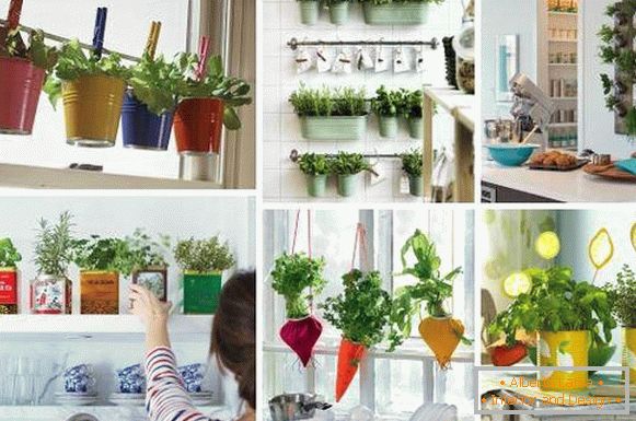 Izvorni kuhinjski dekor - fotografije ideja s zelenim biljem
