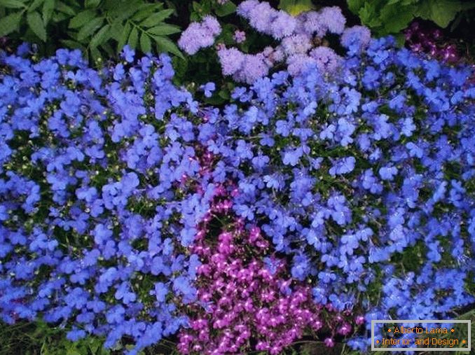 cvjetne kolibe u dvorištu privatne kuće fotografija 14