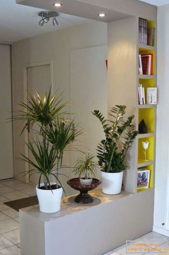 izvorne biljke u unutrašnjosti hodnika, slika 13