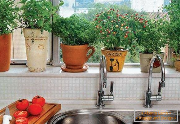 Sadnice i trava na prozoru u kuhinjskom dizajnu