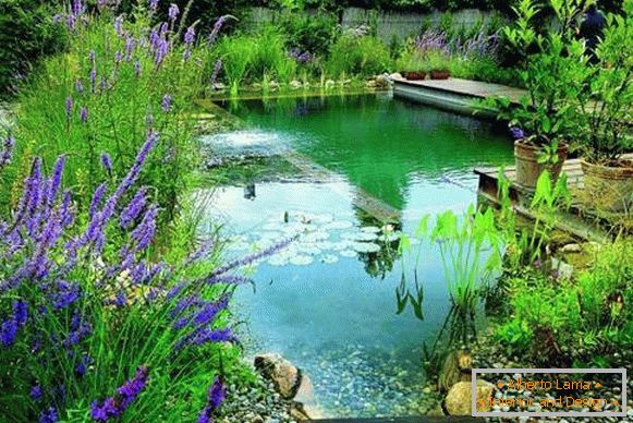Lijepa slika bazena - ribnjak za kupanje u dvorištu