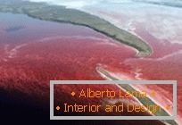 Neobična crvena jezera u sjevernoj Kanadi
