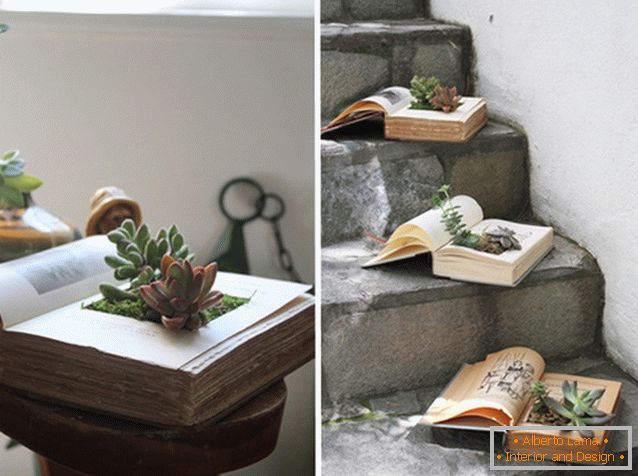 Kućne biljke u knjizi