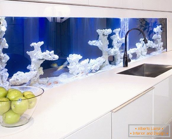 Akvarij s koraljima u kuhinji
