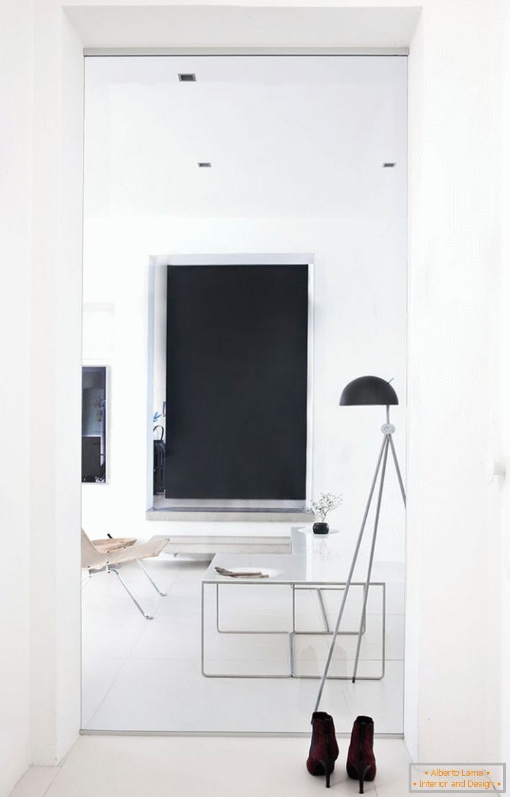 Dizajn malog stana u crno-bijeloj boji - фото 7