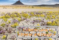 Pustinje u Utahu, eksplodirale su u bojama