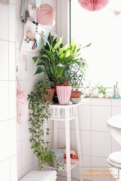 Biljke u kutu kupaonice