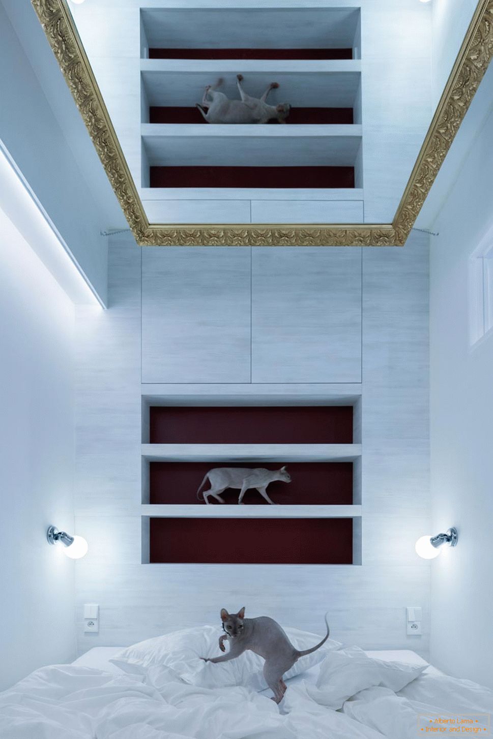 Moderni dizajn malog stana - mačke u unutrašnjosti