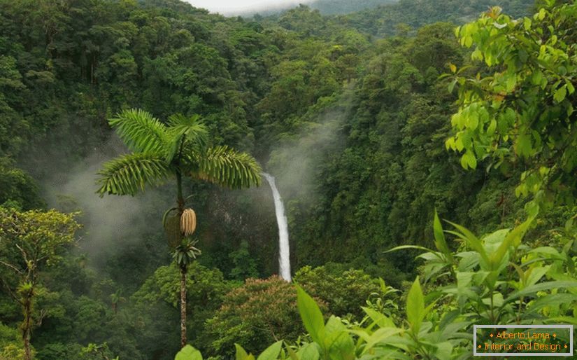 Samoobvezovane ture u Kostarika