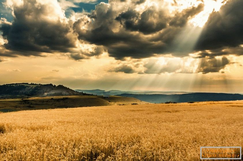 Sunce prolazi kroz oblake, preko polja pšenice