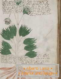 Tajanstveni rukopis Voynicha