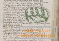 Tajanstveni rukopis Voynicha