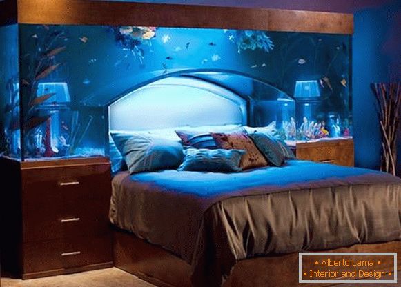 Akvarij-kao-isgolovye kreveta