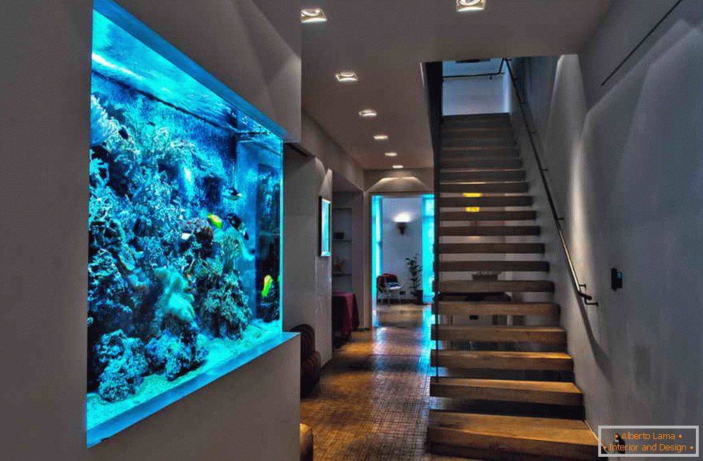 Akvarij u zidu hodnika