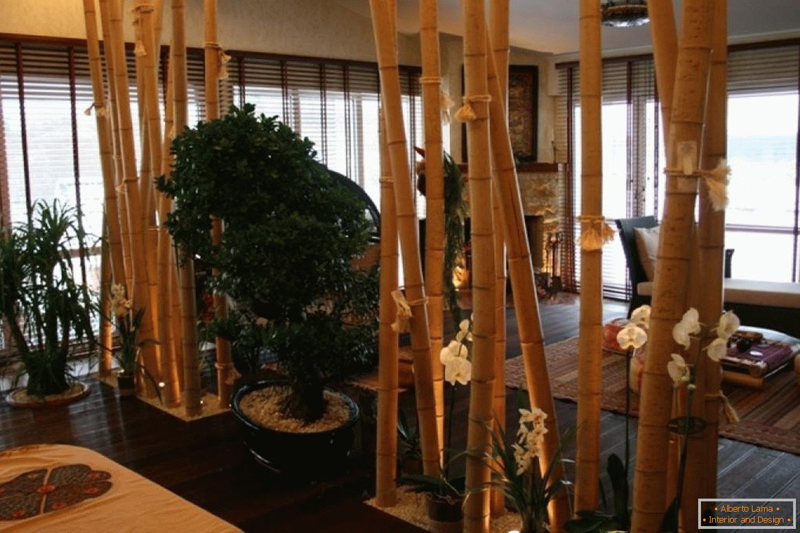 Dio bambusa