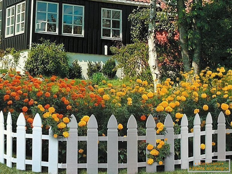 Ukrasna ograda перед домом