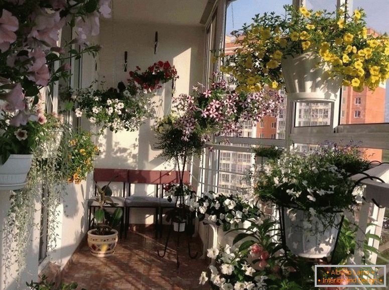 Balkon s cvijećem