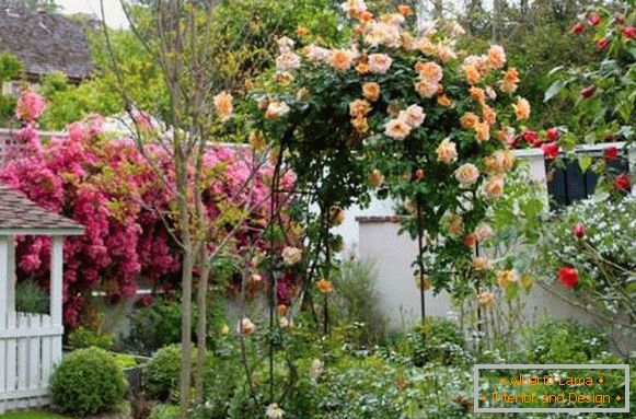 Landscaping privatne kuće - najbolje ideje za 2017 s cvijećem