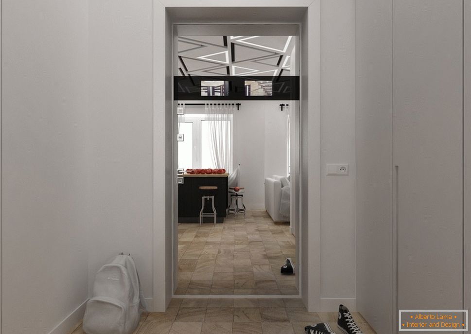 Dizajn apartmana 30 m2 m u crno-bijeloj boji - фото 4