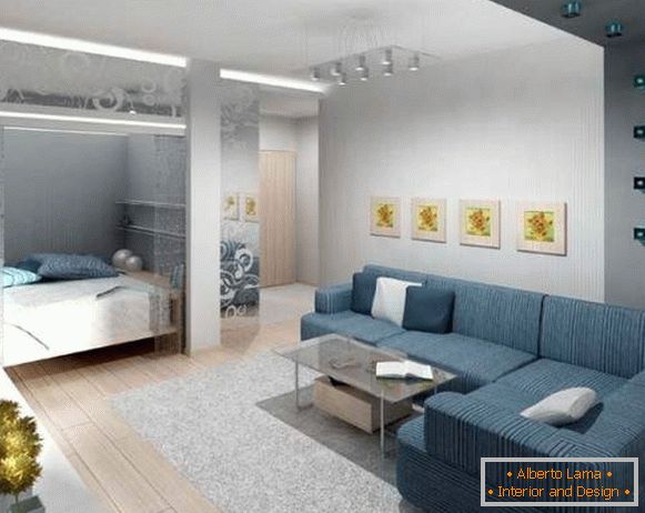 Jednosobni apartman dizajn: podijeljen u dvije zone spavaća soba i dvorana