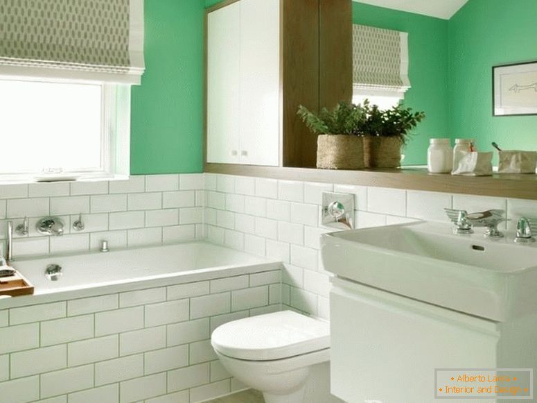 Bijela zelena kupaonica