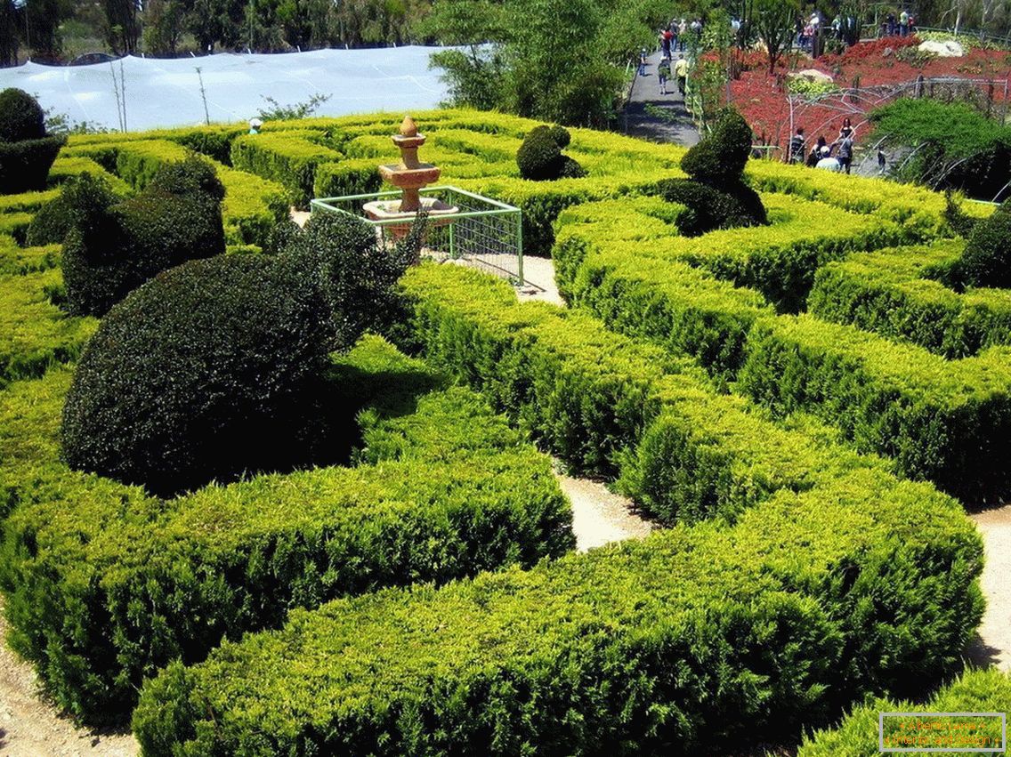 Labirinti iz grma