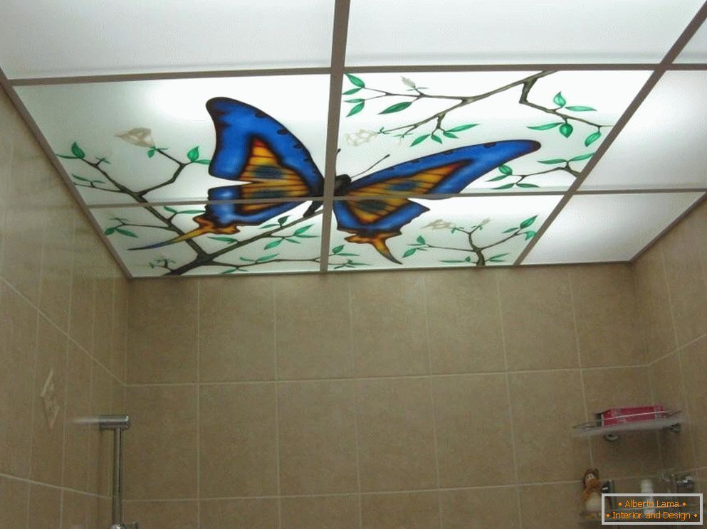 Leptir na stropu