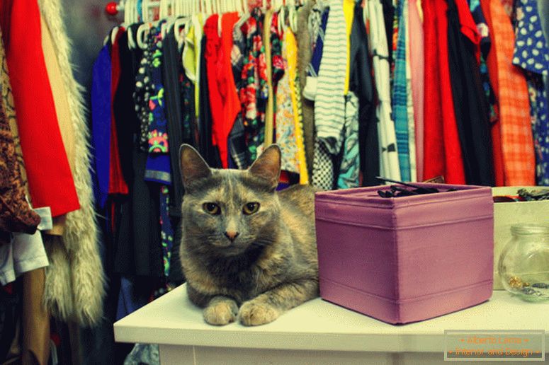 Ormar 2 m2 m. - fotografija zanimljivih opcija dizajna za