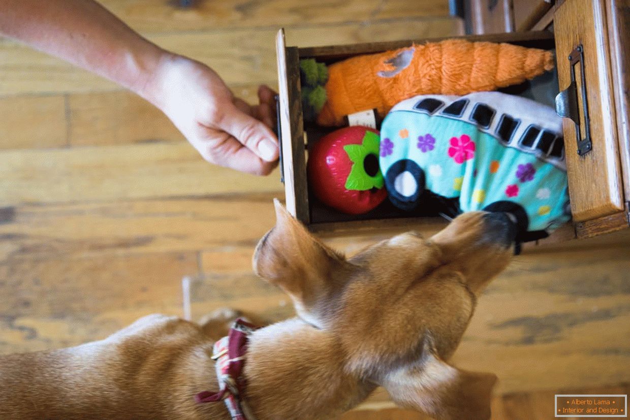 Kutiju s igračkama za pse