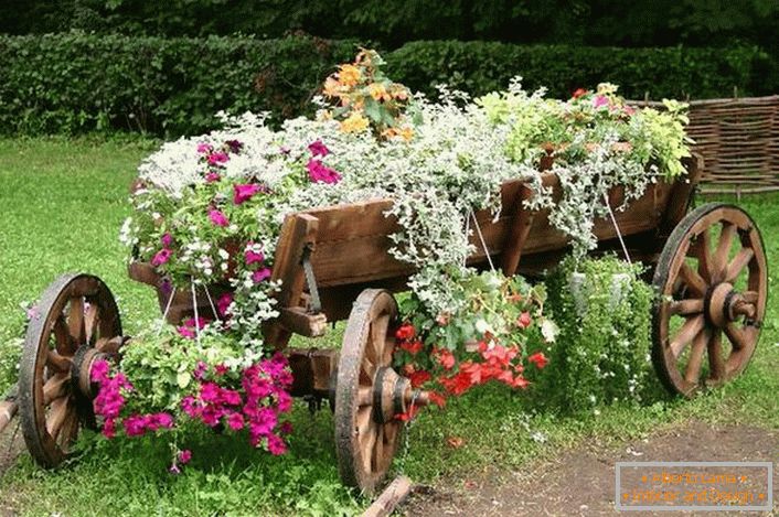 Kao posuđe za stvaranje cvjetnjaka koristilo se stara, obnovljena kolica. Zanimljivo rješenje za uređenje dvorišta u prizemlju. 