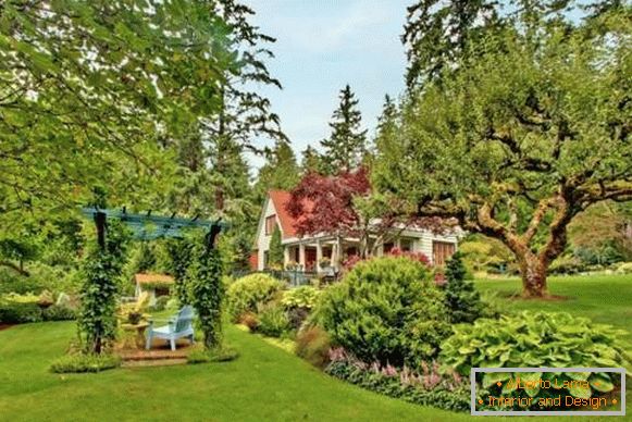 Kako planirati zemlju kuća stranica - fotografija rekreacijskog područja u vrtu