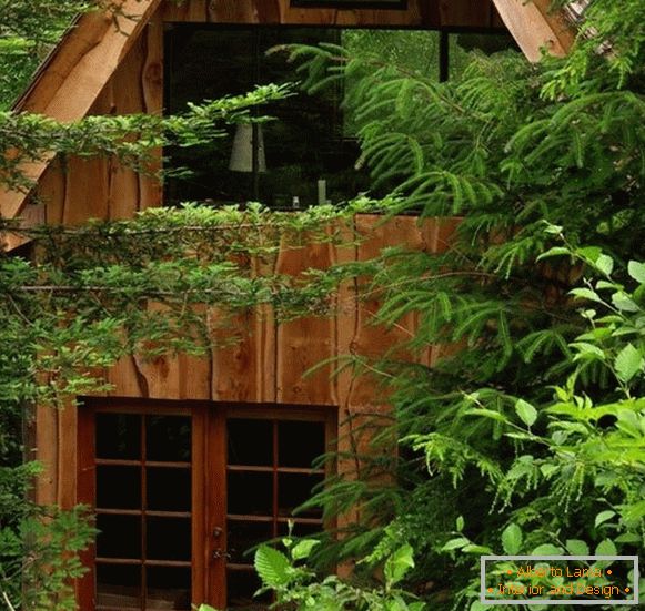 Mala šumska kuća (fotografija), США