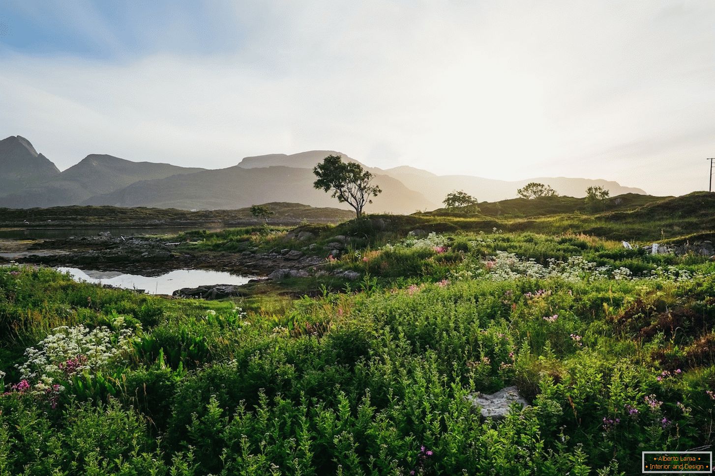 Juicy krajolik Norveške polja