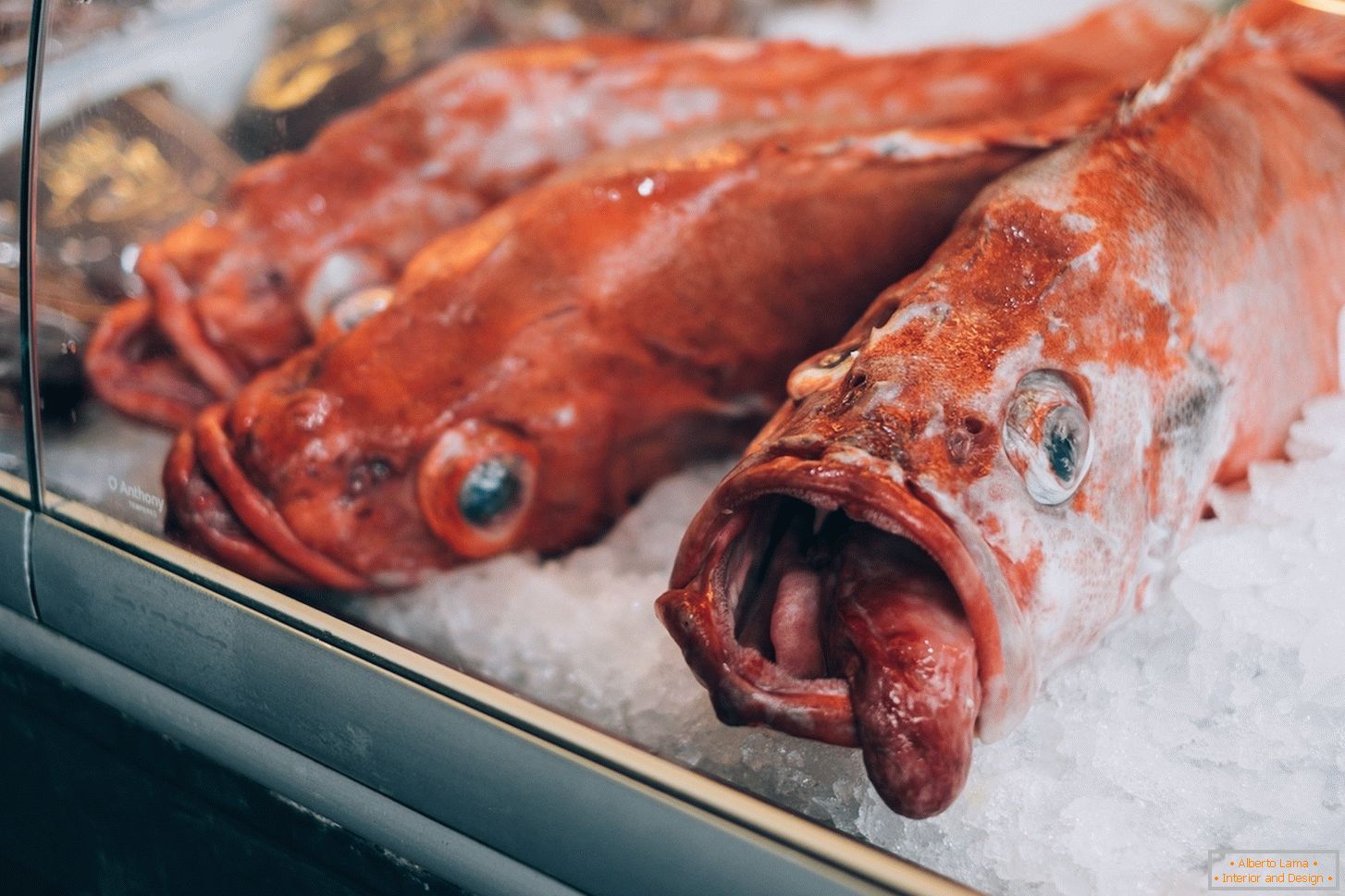 Мороженная рыба на рынке в Bergenе