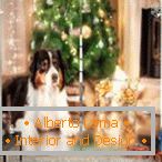 Psi na božićnom drvetu na zavjesu