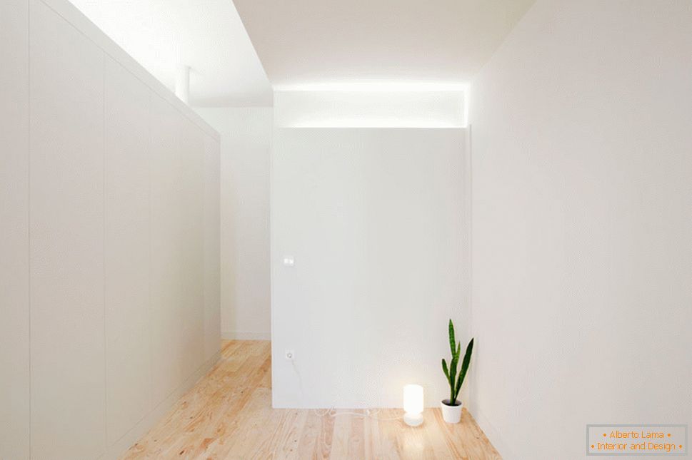 Unutrašnjost malog studio apartmana u svijetlim bojama - одинокий цветок